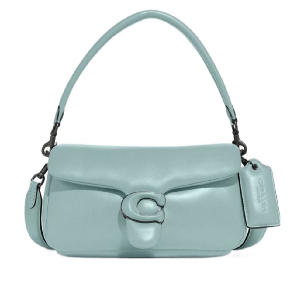 Coach Pillow Tabby 26